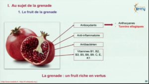 Les bienfaits de la grenade