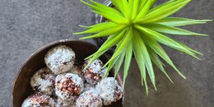 Energy Balls Nutrition Sportive